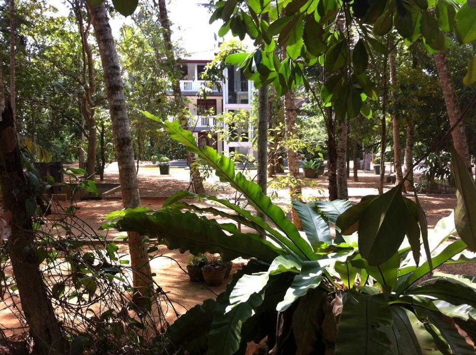 Gem Field Rest Bed & Breakfast Ratnapura Exterior foto