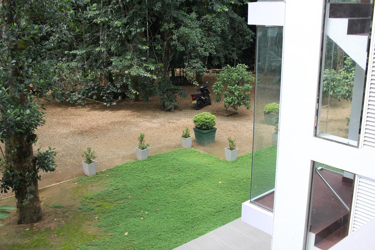 Gem Field Rest Bed & Breakfast Ratnapura Exterior foto